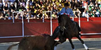 El rejoneador onubense Andrés Romero.